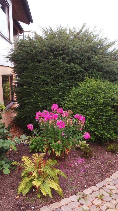 Ferienwohnung Im Rottal Oberrot エクステリア 写真