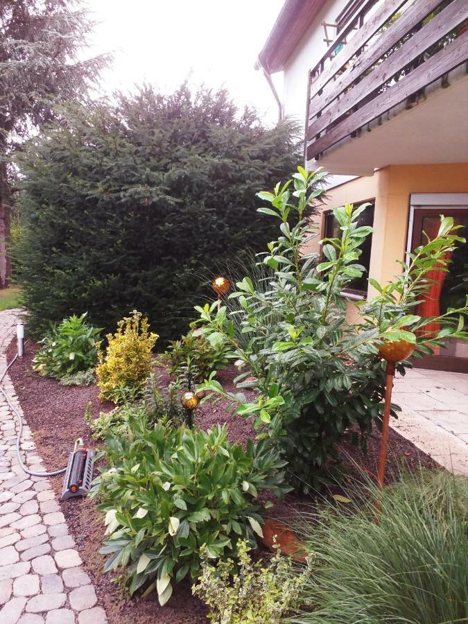 Ferienwohnung Im Rottal Oberrot エクステリア 写真